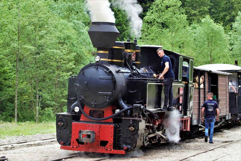 Mocanița din Maramureș