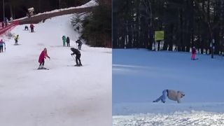 VIDEO &bdquo;E periculos pentru ei&rdquo; Pe p&acirc;rtie, ca la defilare de modă