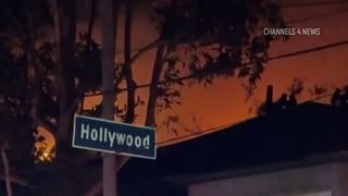 VIDEO „Sunt îngeri pe lumea asta”. Speranțe renăscute din cenușă