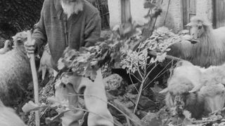 Moș Stamate, ciobanul rom&acirc;n care a trăit 135 de ani