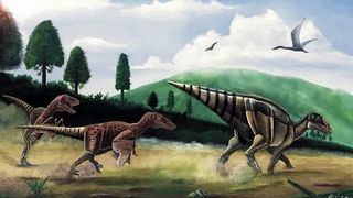 Puțini știu că Țara Hațegului a fost, acum 70 de milioane de ani, un habitat pentru dinozauri.