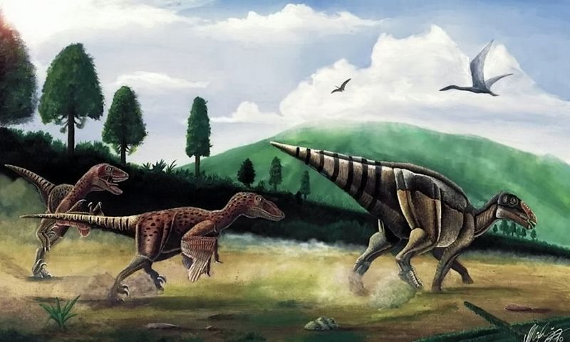 Puțini știu că Țara Hațegului a fost, acum 70 de milioane de ani, un habitat pentru dinozauri.