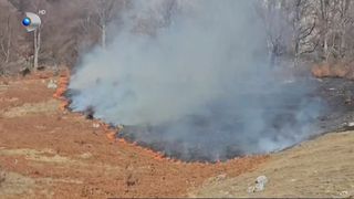 VIDEO Incendii de vegetație ca în plină vară