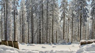 Locuri de vizitat iarna &icirc;n Maramureș