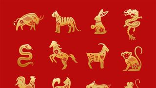  Horoscop chinezesc 2025