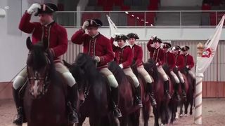 VIDEO Arta ecvestră din Portugalia, recunoscută de UNESCO