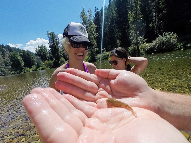 Aspretele este o adevărată fosilă vie