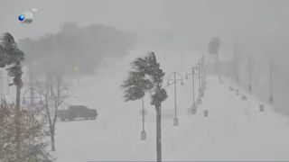 VIDEO Ninsori puternice, plaje acoperite cu zăpadă