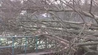 VIDEO Furtuna secolului- alertă de călătorie pentru rom&acirc;ni &icirc;n Marea Britanie