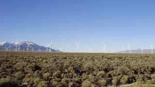 Vreme neobișnuită la finalul lunii ianuarie. 