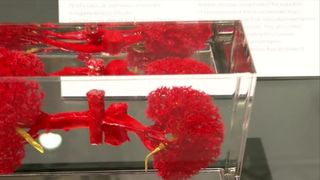 Lecție de anatomie la Biblioteca Națională