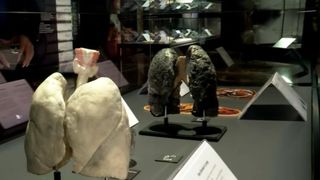 Lecție de anatomie la Biblioteca Națională