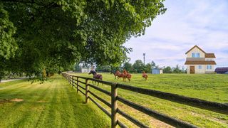 Seriale de dramă și comedie care prezintă viața la fermă, în 5 țări diferite