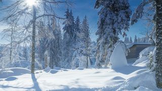 Stratul de zăpadă din Paltiniș ajunge la 50 cm