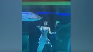 VIDEO Sirenă mușcată de un sturion. Femeia a fost atacată din senin de peștele uriaș 