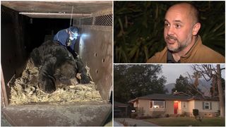 "Când m-am întors acasă, am rămas șocat" Ce a descoperit un american sub casa lui după incendiile devastatoare din Los Angeles