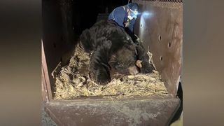 Ce a descoperit un american sub casa lui după incendiile devastatoare din Los Angeles