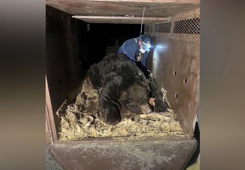 Ce a descoperit un american sub casa lui după incendiile devastatoare din Los Angeles