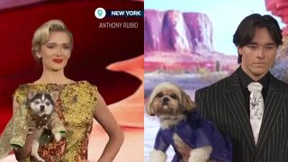 VIDEO Cățeii au defilat la Săptăm&acirc;na Modei