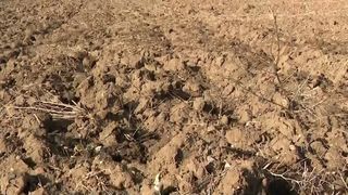 VIDEO &bdquo;Toată lumea &icirc;și dorește mai mult&rdquo; Păm&acirc;ntul agricol e tot mai scump