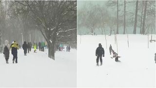 VIDEO „N-am mai văzut zăpadă de mult timp”. Cu sania și schiurile în București