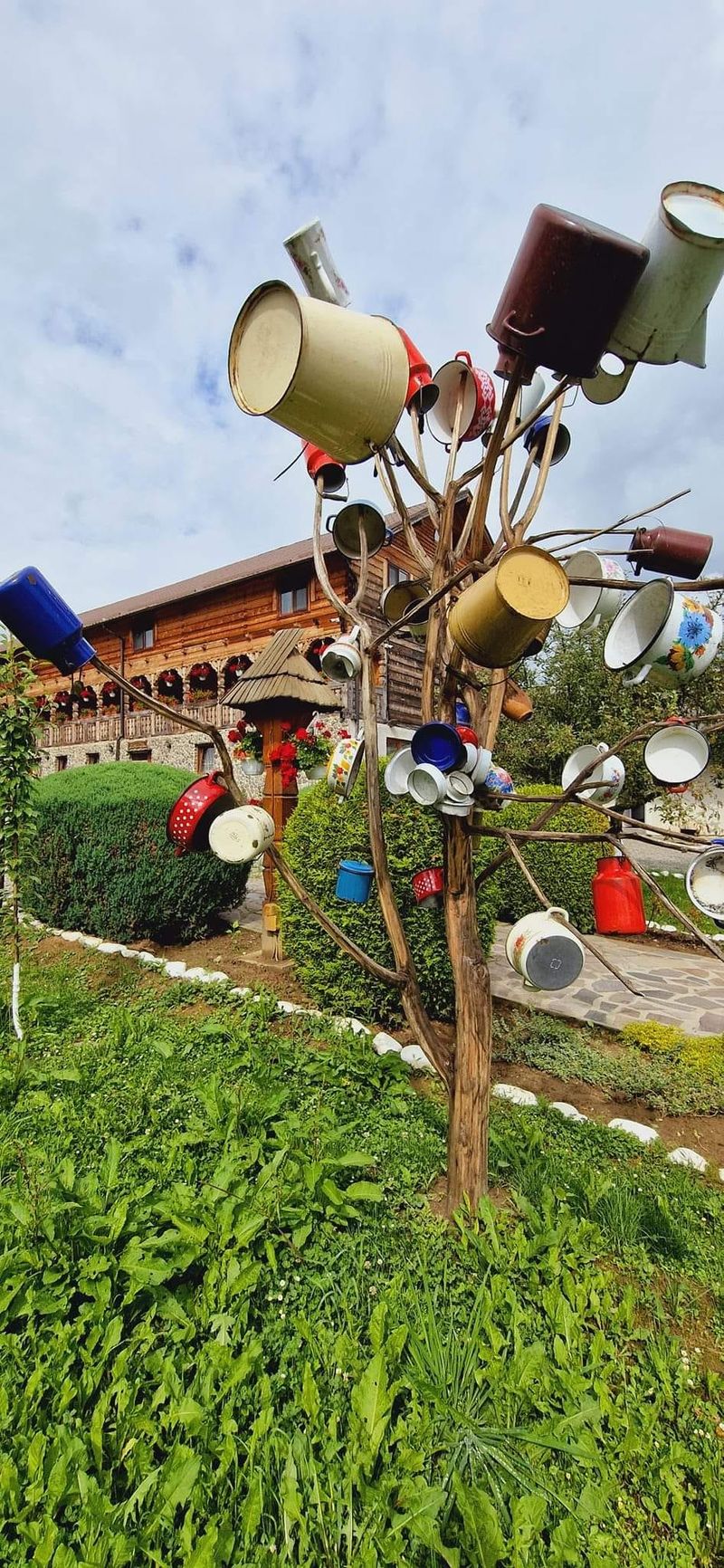 Copacul cu oale din Maramureș