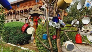 Copacul cu oale din Maramureș