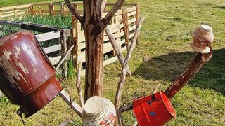 Copacul cu oale din Maramureș