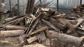 VIDEO &bdquo;Merg &icirc;n pădure să aduc vreascuri&rdquo;. Gerul i-a lăsat fără lemne