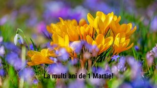 Urări de 1 Martie 2025: Mesaje de Mărțișor