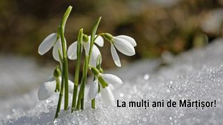 Mesaje 1 Martie 2025 &ndash; Cele mai frumoase urări pentru prima zi de primăvară. &bdquo;Un Mărțișor norocos, o primăvară senină și plină de bucurii! La mulți ani!&rdquo;
