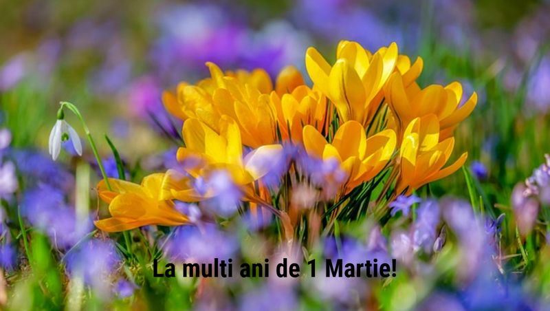 Felicitări de 1 Martie 2025