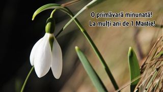 Felicitări de 1 Martie 2025 și mesaje de Mărțișor 2025: ”Să ai parte de o primăvară minunată, plină de soare, fericire și iubire!"