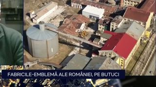 VIDEO Fabricile emblemă ale Rom&acirc;niei, pe butuci