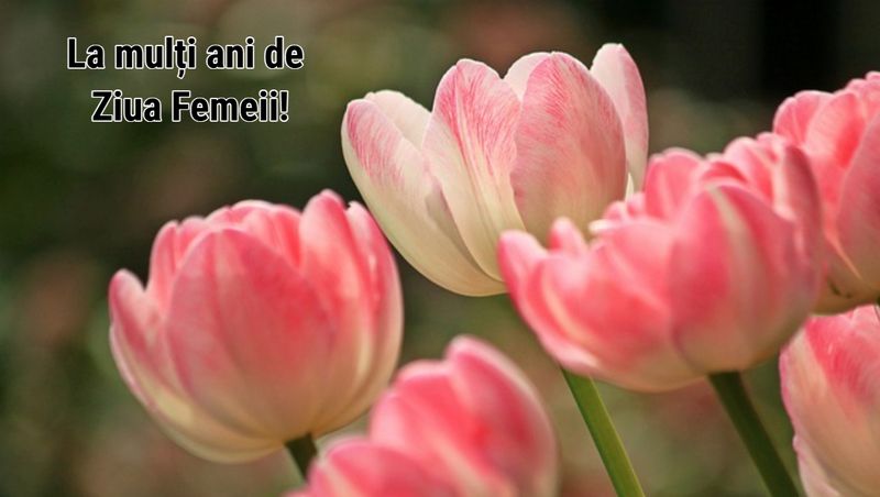 Urări de Ziua Femeii 2025: Mesaje de 8 Martie