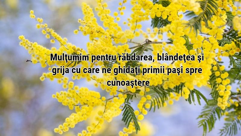 Felicitări de 8 Martie 2025