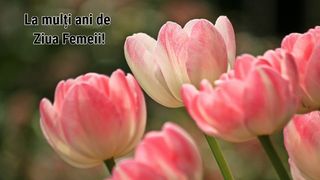 Mesaje de 8 Martie 2025 pentru mamă, bunică, soție și iubită. La mulți ani de Ziua Femeii 2025!