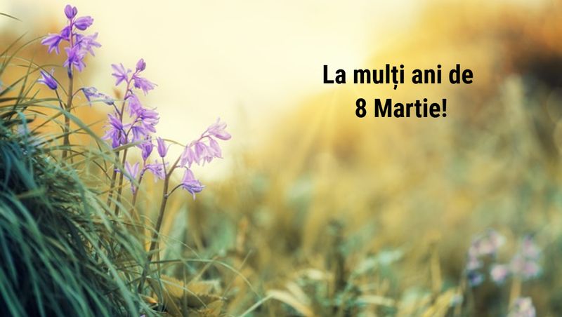 Mesaje de 8 Martie 2025 pentru mamă, bunică, soție și iubită. La mulți ani de Ziua Femeii 2025!