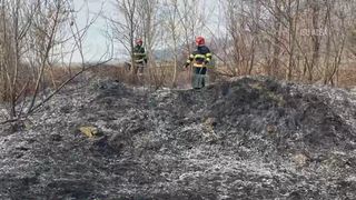 VIDEO Incendiile de vegetație au ucis doi oameni