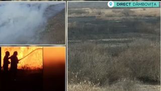 VIDEO Dezastru ecologic &icirc;n Carpați