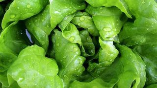 Ciorbă de salată ca în Maramureș