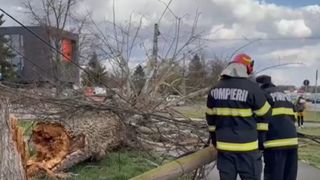 VIDEO Cod roșu de vijelie &icirc;n trei județe. Nici Capitala nu a scăpat de v&acirc;ntul puternic. Mai mulți copaci au fost puși la păm&acirc;nt