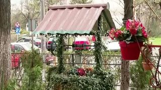 VIDEO Spațiile verzi dintre blocuri, pe cale de dispariție. Sunt din ce în ce mai rare în cartierele noi 