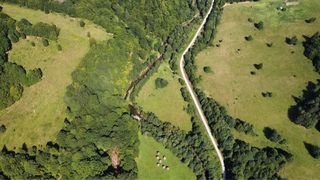 Teren intravilan, la doar 5 euro/mp, &icirc;n Maramureș