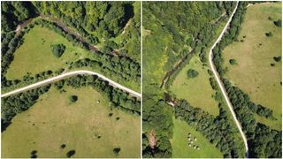 Teren intravilan, la doar 5 euro/mp, în Maramureș: Are curent, drum asfaltat și este amplasat într-o zonă cu potențial turistic