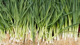 VIDEO Legumele din cea mai mare piață din Rom&acirc;nia, controlate de pesticide