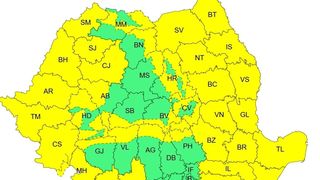 cod galben viscol, vijelii, frig 