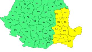 cod galben viscol, vijelii, frig 