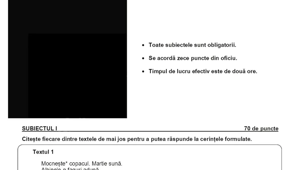 SUBIECTE EXAMENE NATIONALE 2025 ROMANA visual data 5