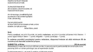 Subiectele la Rom&acirc;nă simulare BAC 2025 - profil uman